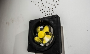 Ekaterina Sisfontes "Flyes" Plastic, Acril, bies