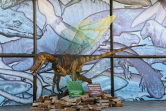 Wings For Dinosaurus, ZOO-ZOO project, 2014