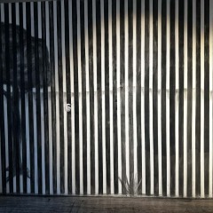 IMG_8974