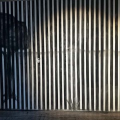 IMG_9150