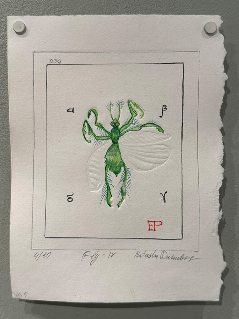 Natasha Dahnberg Land of the green Insects