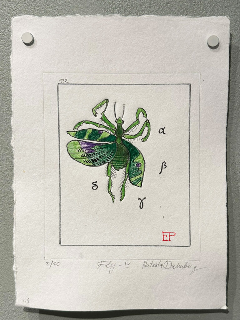 Natasha Dahnberg Land of the green Insects